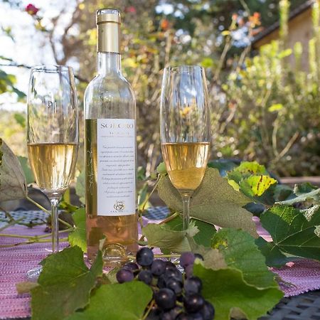 Podere La Casetta - Casa Di Campagna 몬타이오네 외부 사진