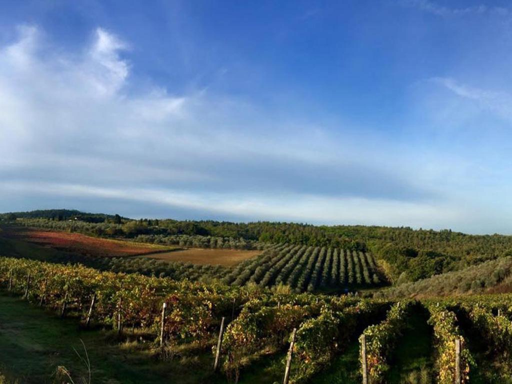 Podere La Casetta - Casa Di Campagna 몬타이오네 외부 사진