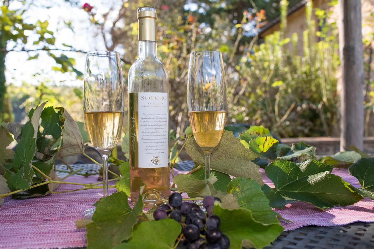 Podere La Casetta - Casa Di Campagna 몬타이오네 외부 사진